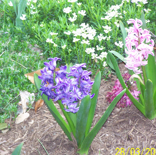 Charles Halliburton Photo 10