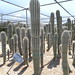 David Cardone Photo 9
