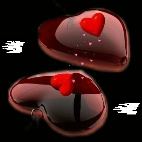 Hasan Muhammad Photo 35