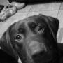Laura Goetz Photo 8