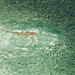 Karl Robertson Photo 12