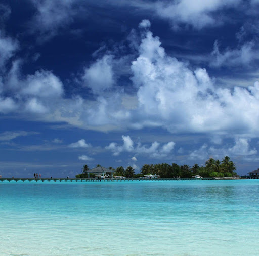 Danny Conrad Photo 12