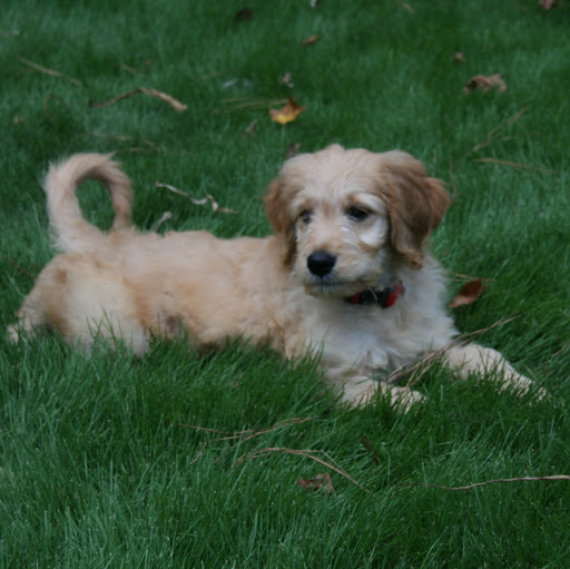 Rebecca Hahn Photo 24