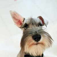 Eric Hu Photo 10
