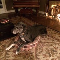 Sheryl Stein Photo 22