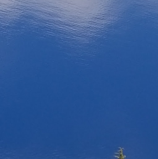 Sarah Hamer Photo 13