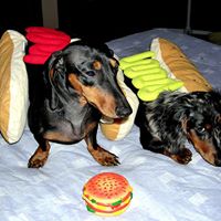 Stephanie Shirey Photo 13