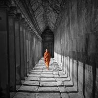 Paul Cummins Photo 27