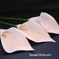 Suzanne Pierre Photo 20