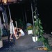 Bobbie Lindsey Photo 16