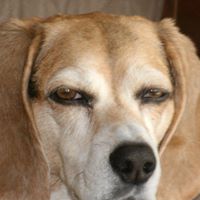 Barbara Heim Photo 36