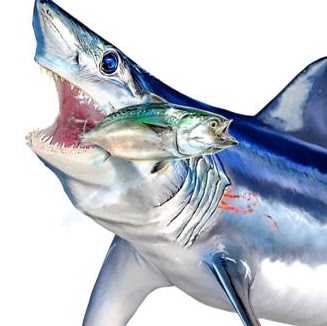 Jim Summers Photo 17