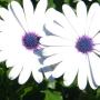 Cathy Hunt Photo 30