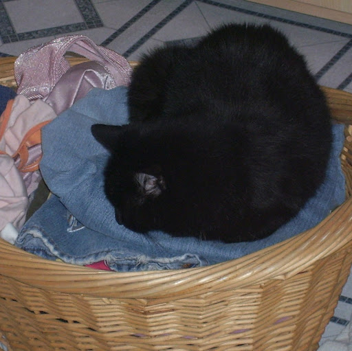 Janet Riggs Photo 33