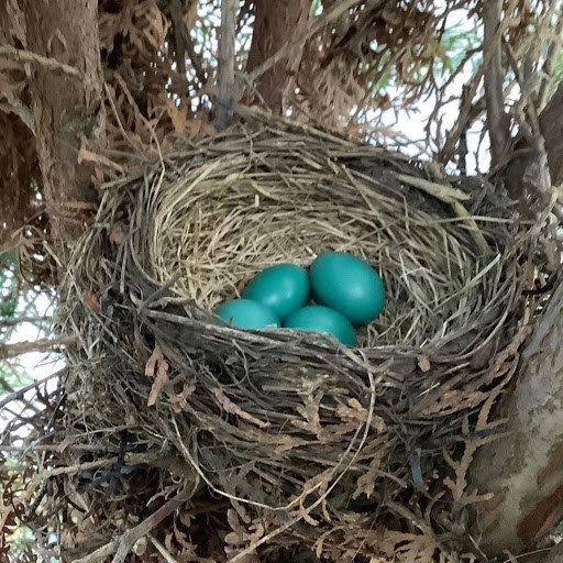 Cindy Osborne Photo 13