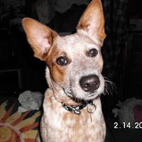 Laura Hackney Photo 15