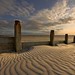 Sandy Clutter Photo 9