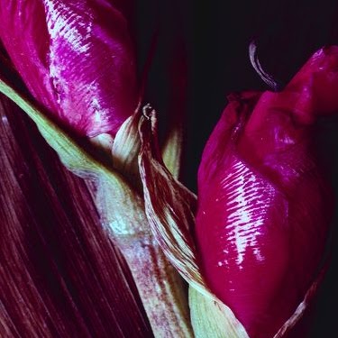 Ronald Ross Photo 43 Ronald Ross Photo 43