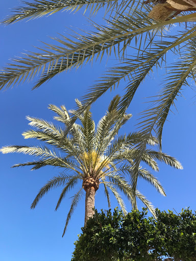 Cheryl Chambers Photo 35