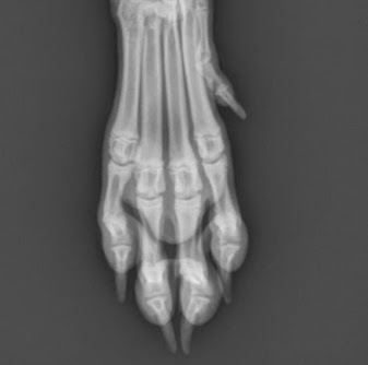 Connie Hurley Photo 37