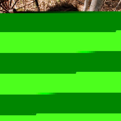 Candace Phillips Photo 33