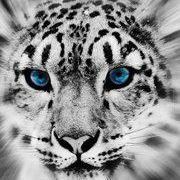 Cindy Kimball Photo 28