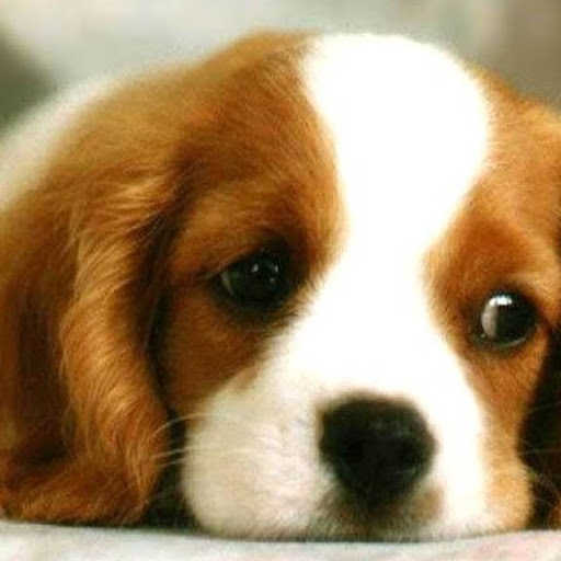 Jennifer Newman Photo 22