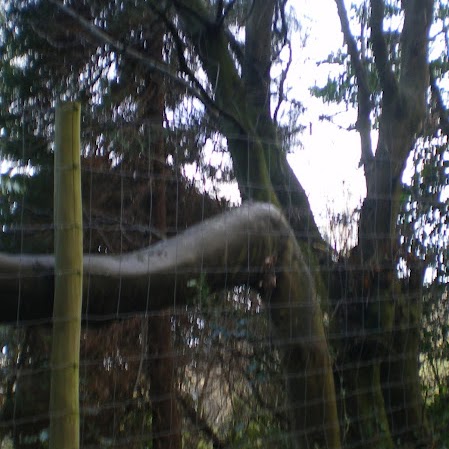 Joanne Bradshaw Photo 21