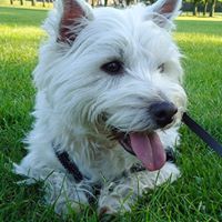 Louise Forbes Photo 9