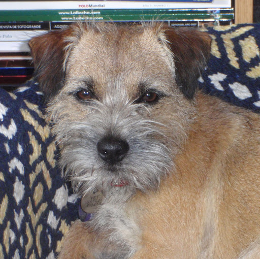 Julie Crocker Photo 26