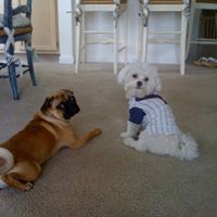 James Browning Photo 47 James Browning Photo 47