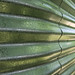 Jane Rainwater Photo 6