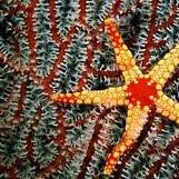 Brian Burdick Photo 7