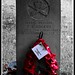 Alice Rogers Photo 19