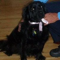 Sadie Erickson Photo 16