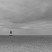 Dave Ayres Photo 32