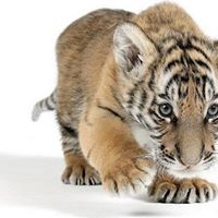 Andrew Cheung Photo 30