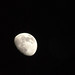 Kay Moon Photo 10