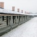 Steven Atkinson Photo 26