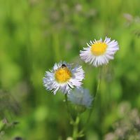 Staci Young Photo 11