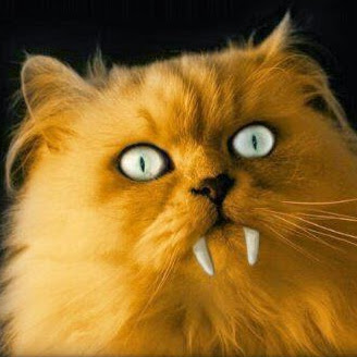 Sandy Moffitt Photo 3