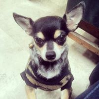 Julia Starr Photo 41