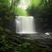 Glen Harrison Photo 13