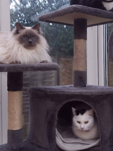 Tracy Mccormick Photo 33