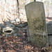 Samuel Vance Photo 15