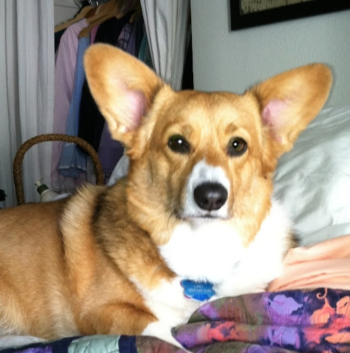 Rebecca Wheeler Photo 16 Rebecca Wheeler Photo 16