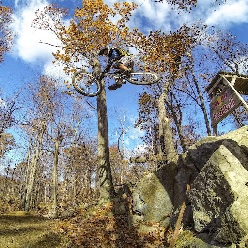 Anthony Rossi Photo 19