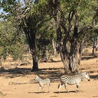 Cynthia Riemenschneider Photo 1