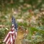 Debra Todd Photo 23