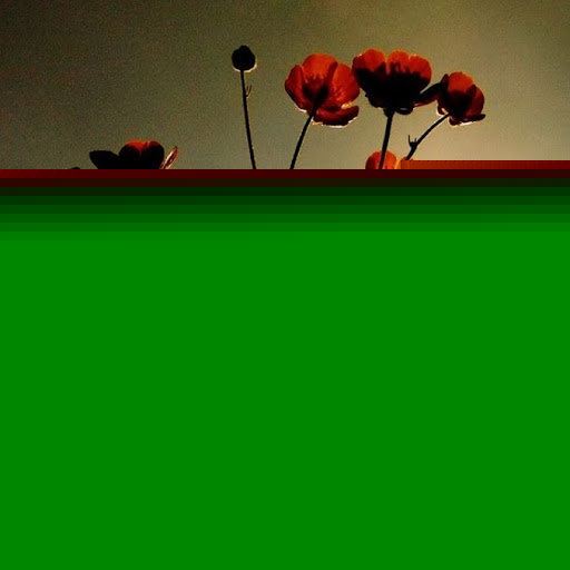 Adela Sandoval Photo 9